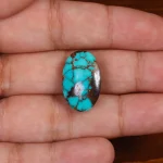 نگین فیروزه شجری کد 29116