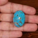 نگین فیروزه شجری کد 29515