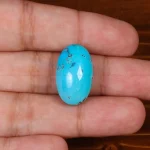 نگین فیروزه شجری کد 29542