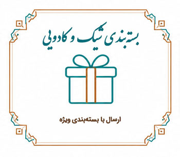بسته-بندی-شیک